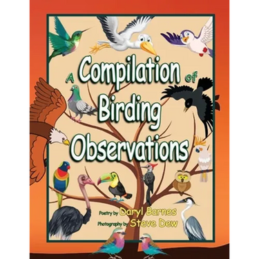 A Compilation of Birding Observations