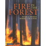 Fire in the Forest