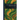 Ethnobotany of the Ojibwe Indians