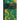 Histological Technique