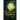 The Forest of Mayhem