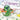 Lil Dragon