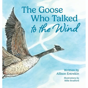 The Goose Who Talked to the Wind: A classic children's story book about discovering purpose & bravery