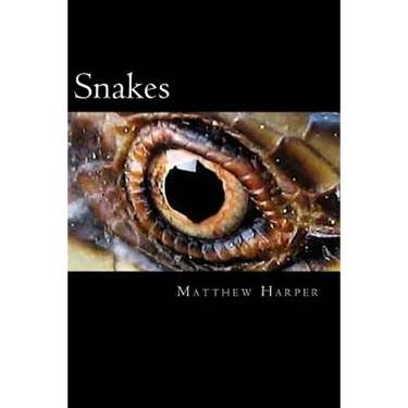 Snakes: A Fascinating Book Containing Snake Facts, Trivia, Images & Memory Recall Quiz: Suitable for Adults & Children