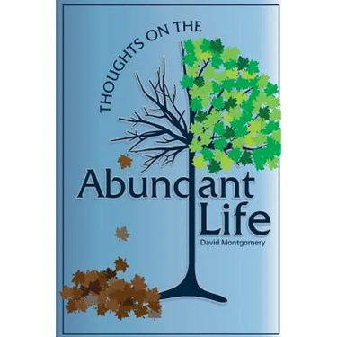 Thoughts on the Abundant Life