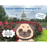 Rocket Around Washington DC