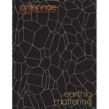Antennae #61 Earthly Mattering