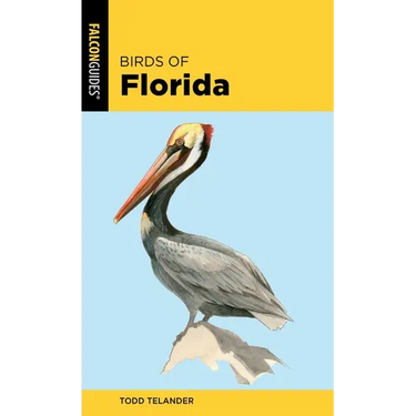 Birds of Florida