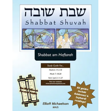 Bar/Bat Mitzvah Survival Guides: Shabbat Shuvah (Shabbat am Haftarah)