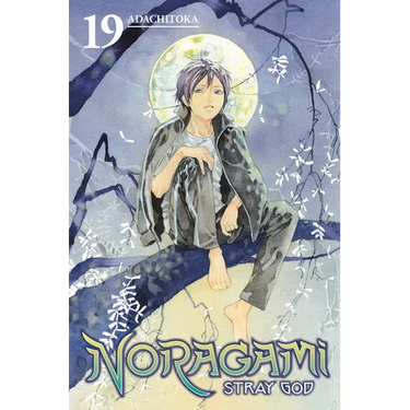 Noragami: Stray God 19