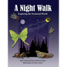 A Night Walk: Exploring the Nocturnal World