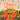 Flowers Are Pretty ... Weird!