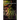 Leaders Guide For Retirement Roots