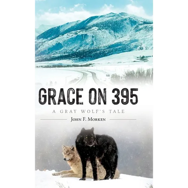 Grace on 395: A Gray Wolf's Tale
