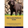 Flat-Coated Retriever Guide Flat-Coated Retriever Guide Includes: Flat-Coated Retriever Training, Diet, Socializing, Care, Grooming, and More