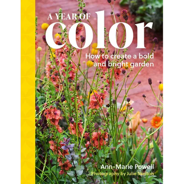 A Year of Color: How to Create a Bold and Bright Garden