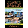 The Case of the Secretive Secretary: A WISE Enquiries Agency cozy Welsh murder mystery