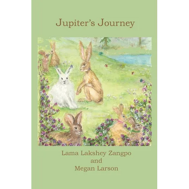 Jupiter's Journey