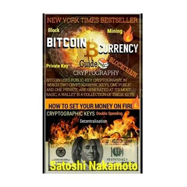 Bitcoin Currency Guide: How To Set Your Money On Fire.: CRYPTOGRAPHY GUIDE: Blocks, Private Key, Blockchains, Decentralization, Bitcoin, Crypt