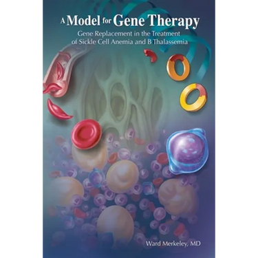 A Model for Gene Therapy: Gene Replacement in the Treatment of Sickle Cell Anemia and Thalassemia