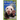 Animal Life Funny & Weird Land Mammals: Learn with Amazing Photos and Fun Facts About Animals and Land Mammals