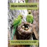 Indian Ringneck Parrots: Everything You Need To Know: Fun Facts About Indian Ringneck