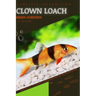 Clown Loach: From Novice to Expert. Comprehensive Aquarium Fish Guide