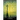 Ghosts by Gaslight