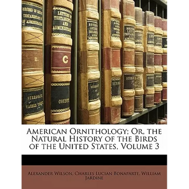American Ornithology; Or, the Natural History of the Birds of the United States, Volume 3