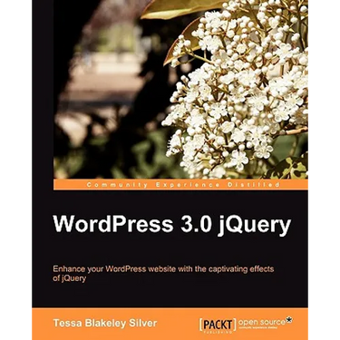 Wordpress 3.0 Jquery