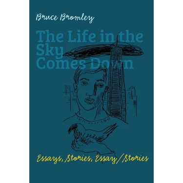 The Life in the Sky Comes Down: Essays, Stories, Essay/Story