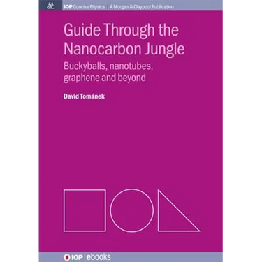 Guide Through the Nanocarbon Jungle: Buckyballs, Nanotubes, Graphene, and Beyond