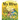 My Hive: A Girl, Her Grandfather, and Their Honeybee Family (a Picture Book)