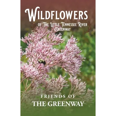 Wildflowers of The Little Tennessee River Greenway