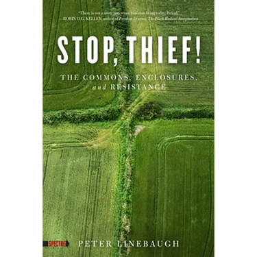 Stop, Thief!: The Commons, Enclosures, and Resistance