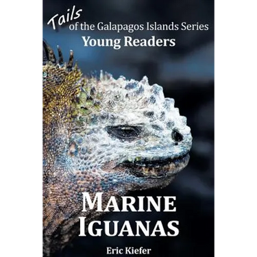 Marine Iguanas - Tails of the Galapagos Islands Series