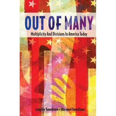 Out of Many: Multiplicity and Divisions in America Today