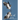 Birds of Denmark