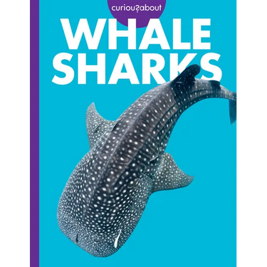 Curious about Whale Sharks