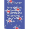 Potentials and Perspectives of Ultrasound Responsive Drug Delivery System