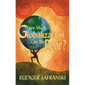 How Much Globalization Can We Bear?