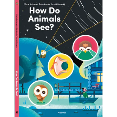 How Do Animals See?