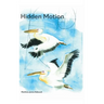 Hidden Motion