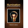 Illumination: Essays on Democracy, Culture, Peace and Social Development in Nigeria