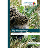 My Hedgehogs