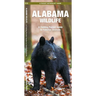Alabama Wildlife: A Folding Pocket Guide to Familiar Animals