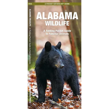 Alabama Wildlife: A Folding Pocket Guide to Familiar Animals