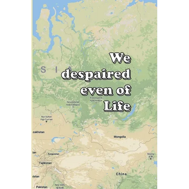 We despaired even of Life