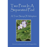Two Peas In A Separated Pod: A True Story of Adoption