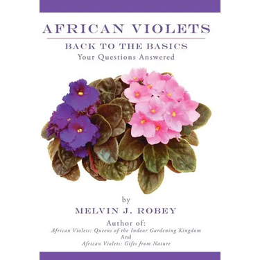 African Violets Back to the Basics: Your Questions Answered